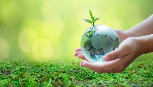 Read more about the article As Melhores Medidas para sua Empresa Reduzir os Impactos Ambientais
