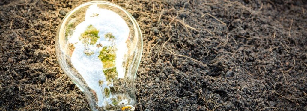 Práticas Sustentáveis: 6 Razões para Investir em 2021