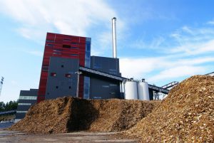 Read more about the article Biomassa: Solução Viável ou Escolha Arriscada?