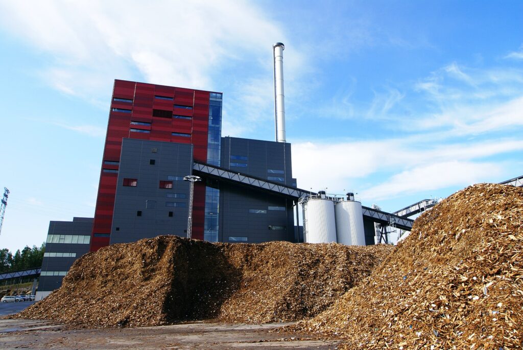 Biomassa: Solução Viável ou Escolha Arriscada?