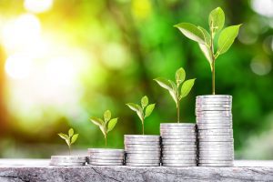 Read more about the article Green Bonds: A Consolidação dos Investimentos Sustentáveis