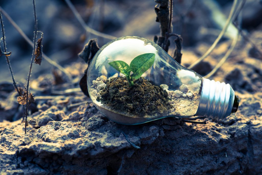 A imagem mostra uma planta crescendo dentro de uma lâmpada, posicionada sob superfície terrosa, representando o tema de energias verdes.