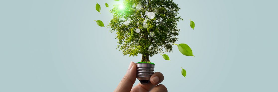 Mercado livre de energia: guia completo para reduzir custos com eletricidade