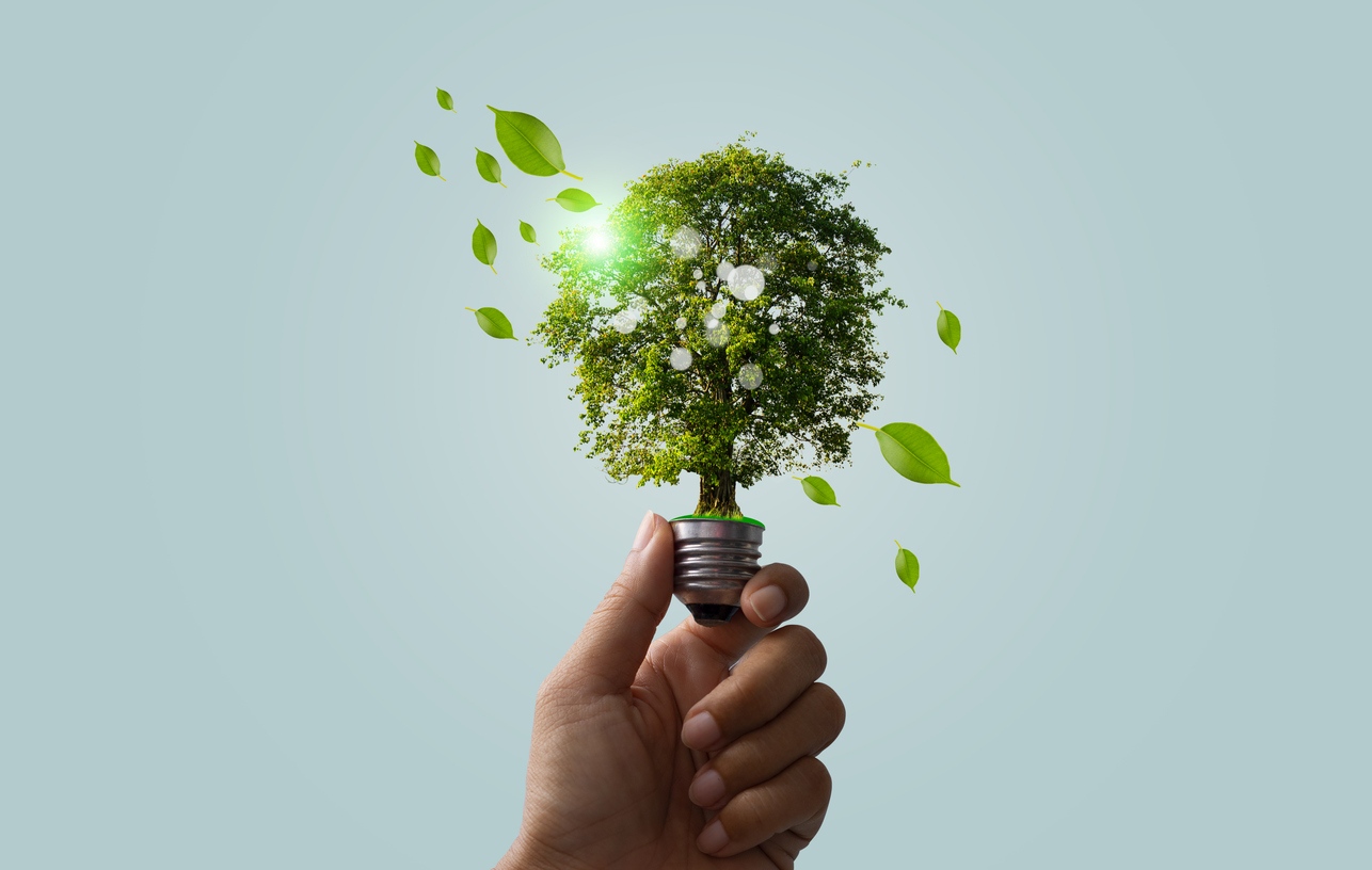 Mercado livre de energia: guia completo para reduzir custos com eletricidade