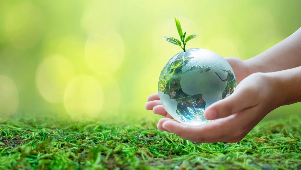 As Melhores Medidas para sua Empresa Reduzir os Impactos Ambientais