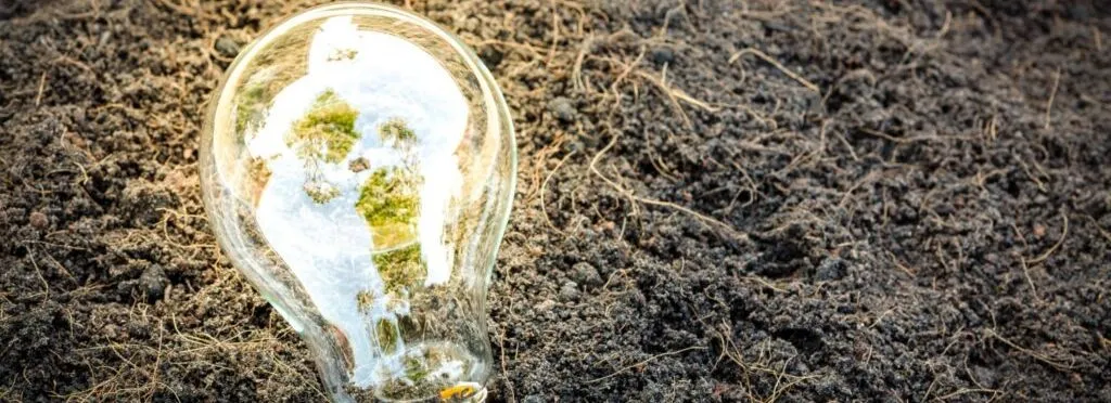 Práticas Sustentáveis: 6 Razões para Investir em 2021