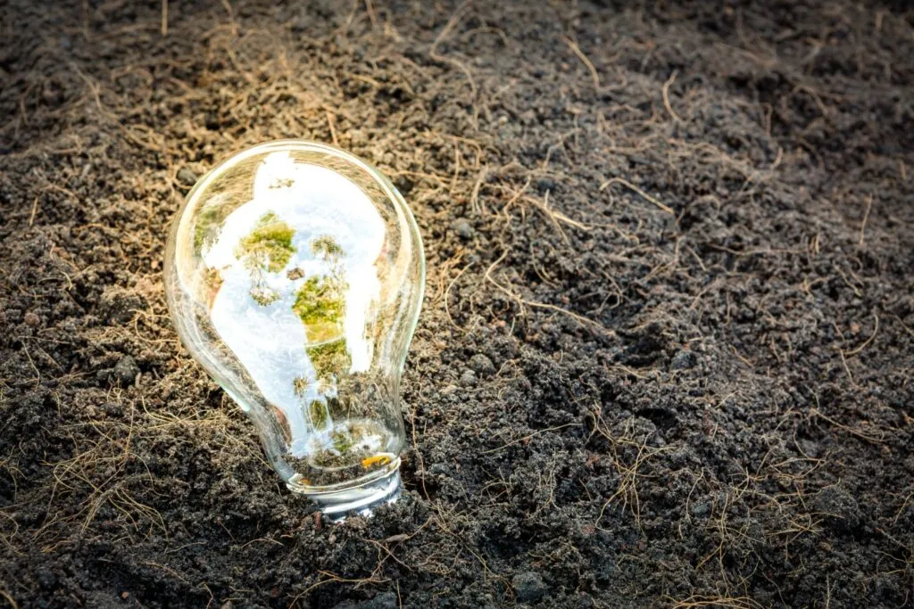 Práticas Sustentáveis: 6 Razões para Investir em 2021