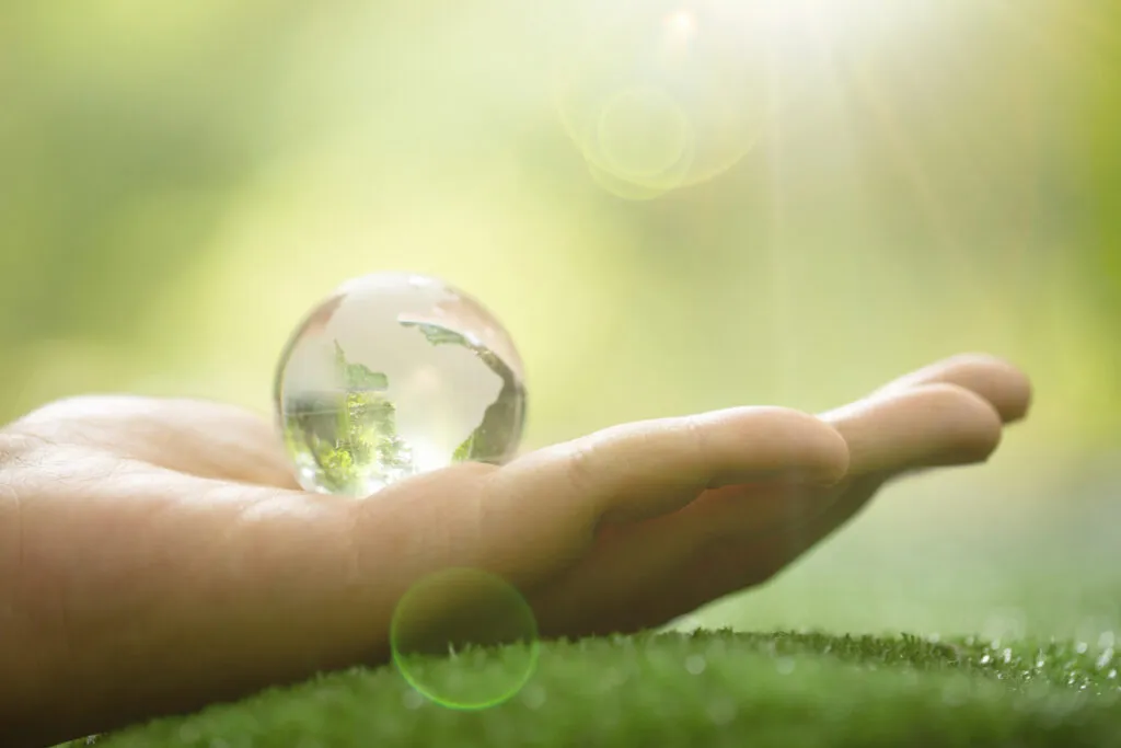 Filmes sobre sustentabilidade para maratonar