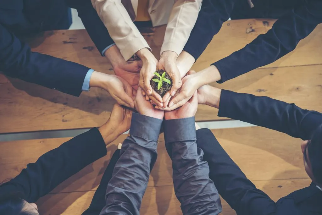 Green Bonds Sustentabilidade