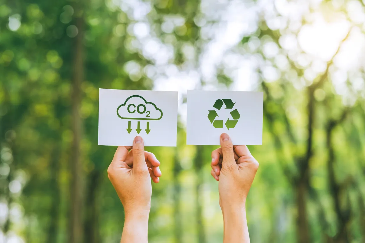 Dia do Meio Ambiente: entenda por que pautas ambientais ainda despertam pouco interesse no Brasil