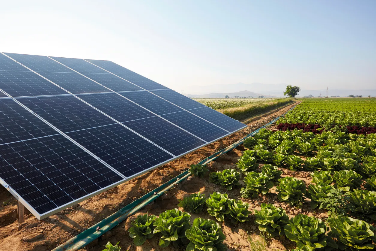Energia solar rural: como funciona e quais são as suas vantagens?